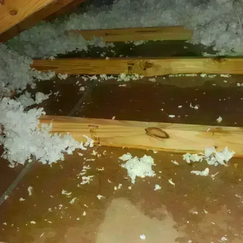 Attic Water Damage in Teaneck, NJ